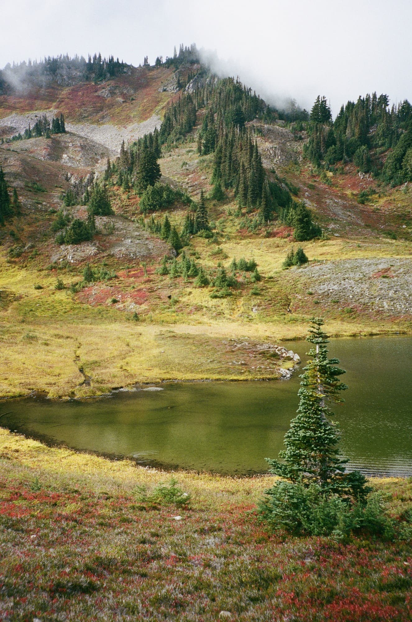 Hiking