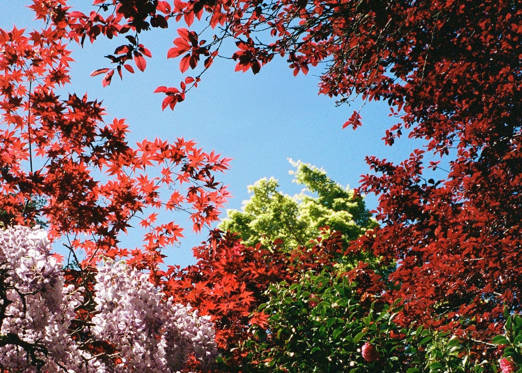 Nature