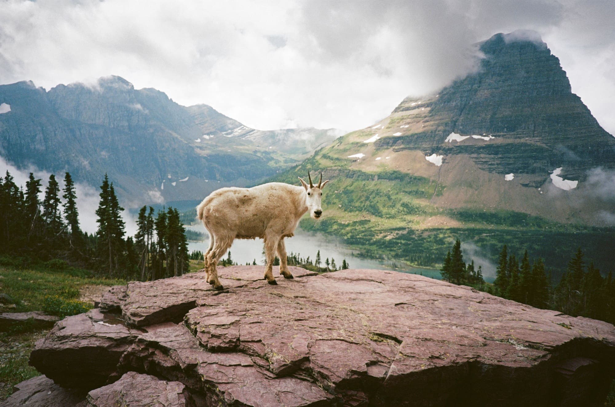 Nature · Travel